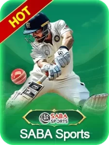 Cricket betting excitement at X777 game India.